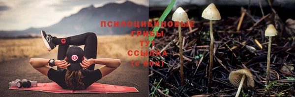 мдма Волоколамск