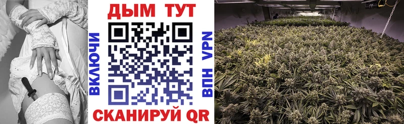 Конопля Ganja  даркнет Telegram  Болхов  закладка 